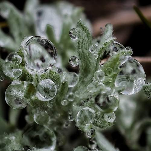 Photo #13549316