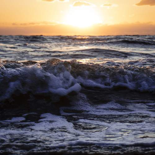 Photo #13549350