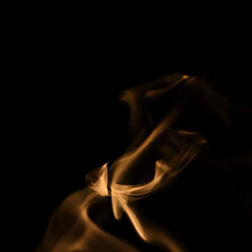 Photo #13549358