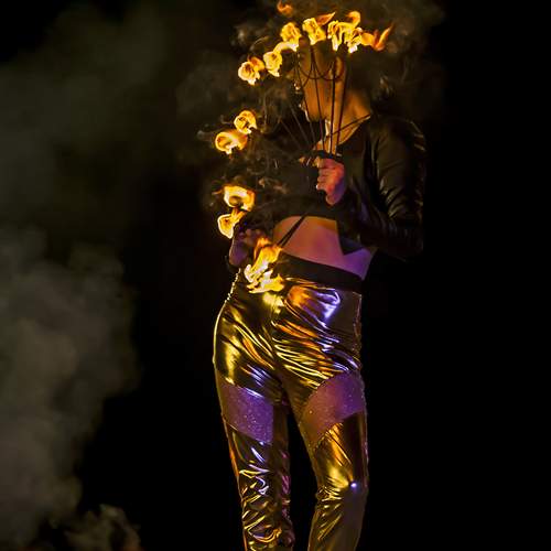 Photo #13549402