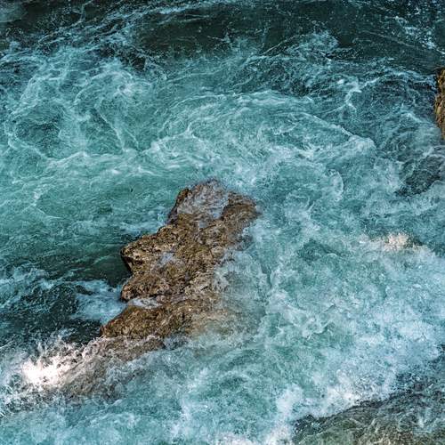 Photo #13549466