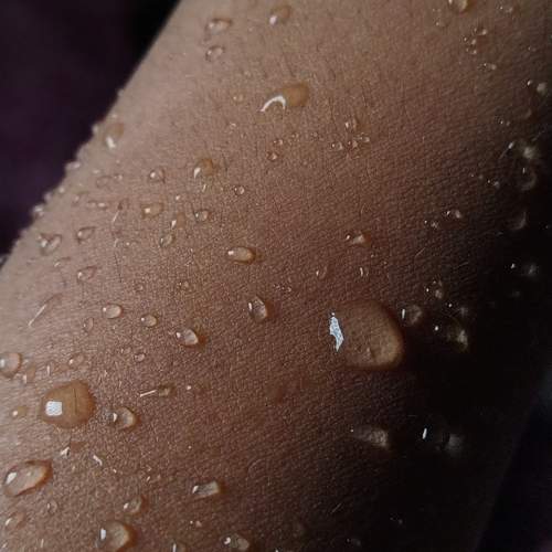 Photo #13549530