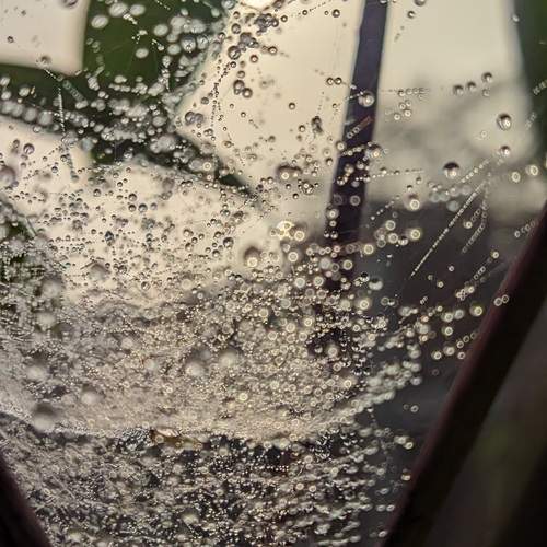 Photo #13549532