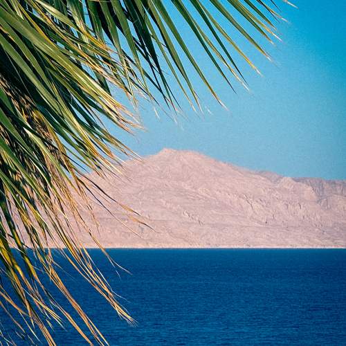 Photo #13549552