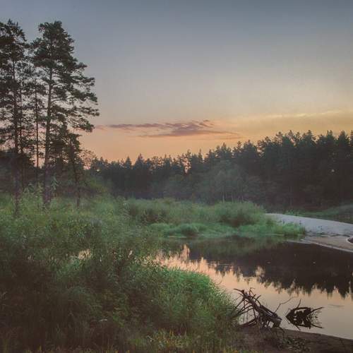 Photo #13549576