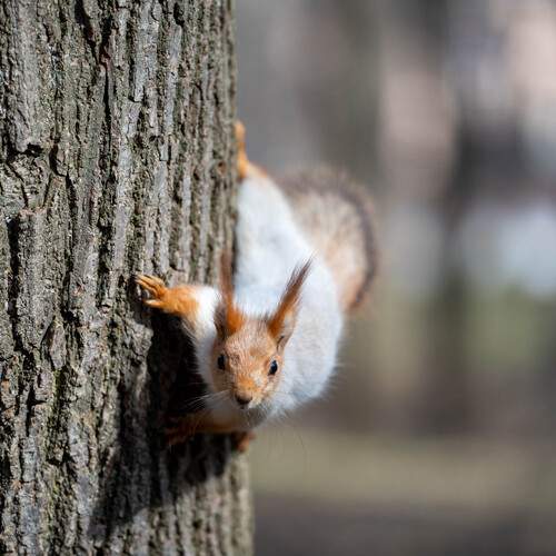 Photo #13549631