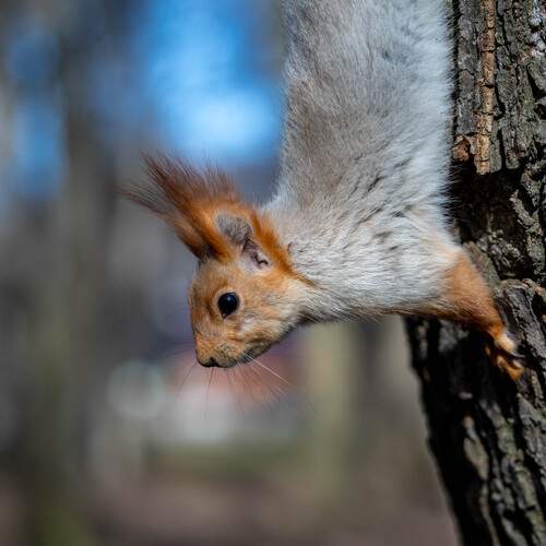 Photo #13549632