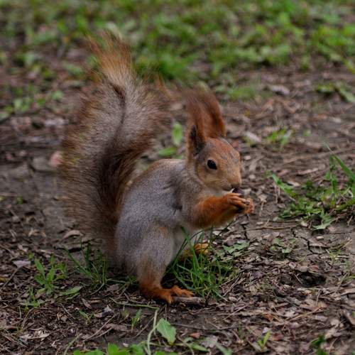 Photo #13549671