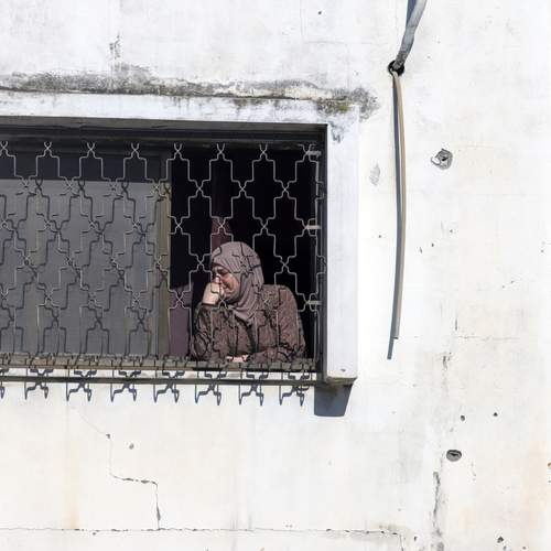 Photo #13549760