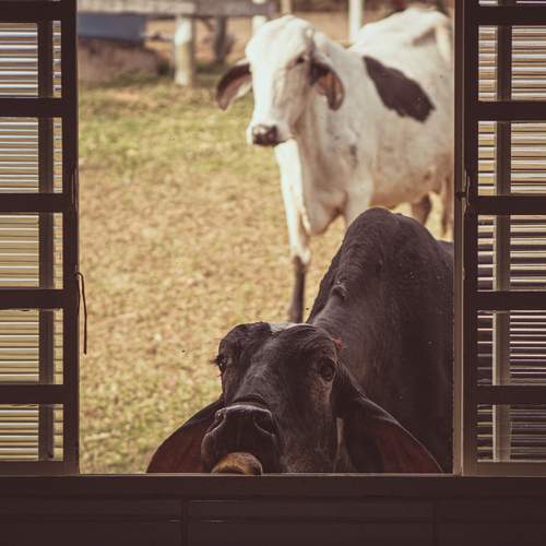 Photo #13549781