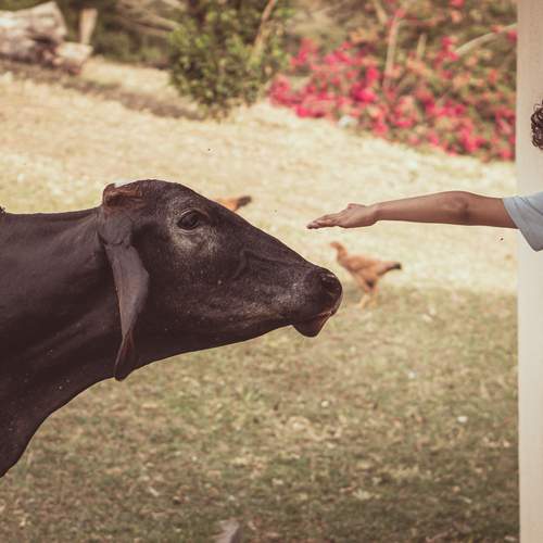 Photo #13549785
