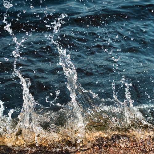 Photo #13549868