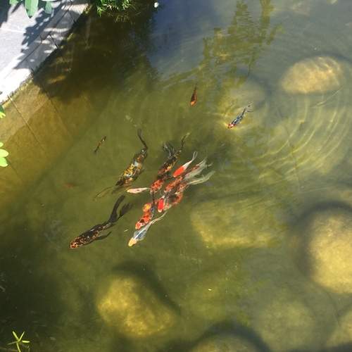 Photo #13549971