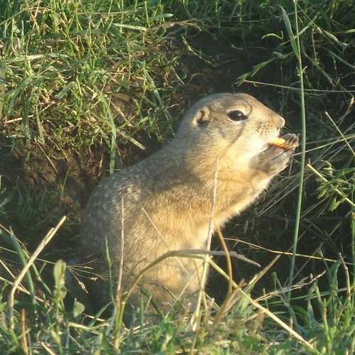 Photo #1355339