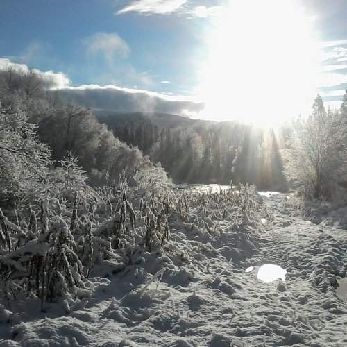 Photo #1358254