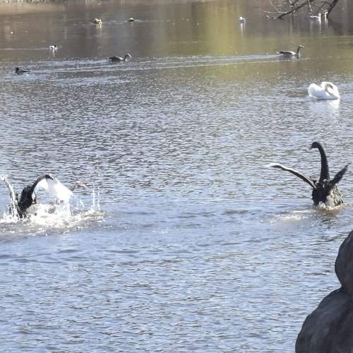 Photo #1358567