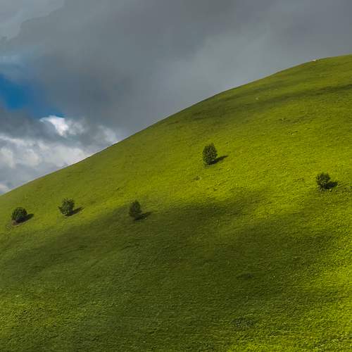 Photo #13550044