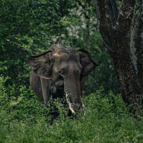Photo #13550083