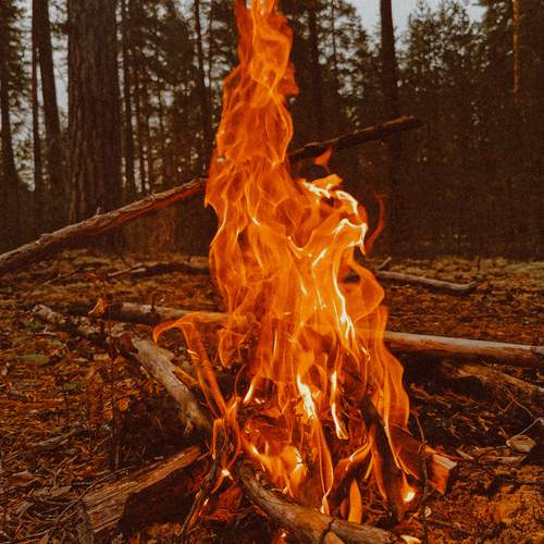 Photo #13550088