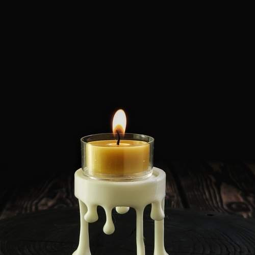 Photo #13550102