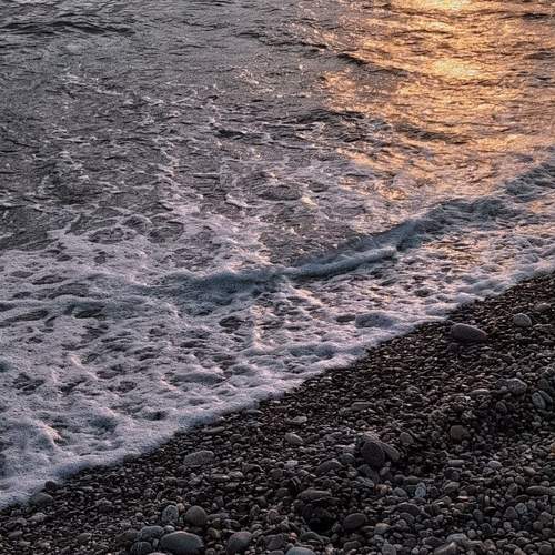 Photo #13550173