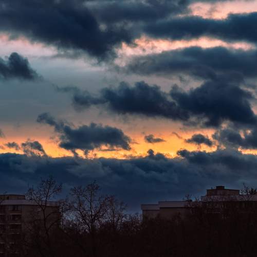 Photo #13550334