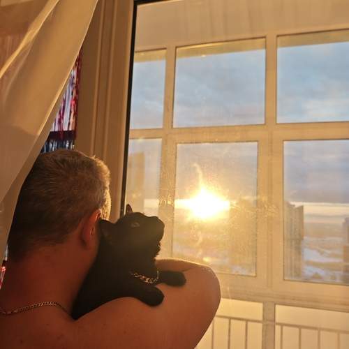 Photo #13550373