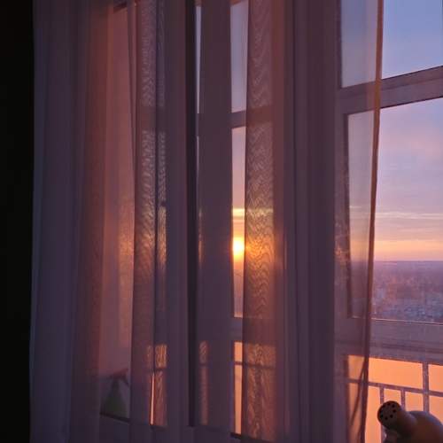 Photo #13550375