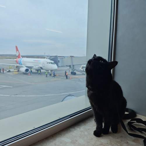 Photo #13550377