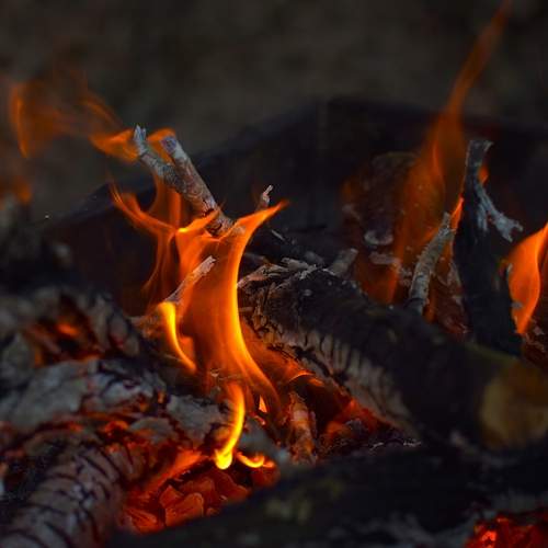 Photo #13550412