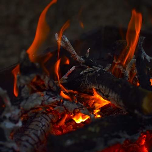 Photo #13550413