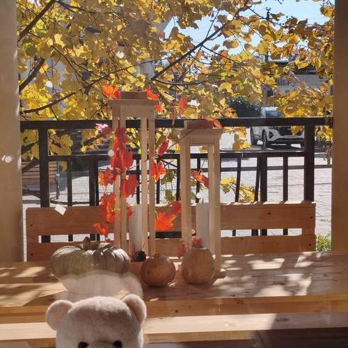 Photo #13550567