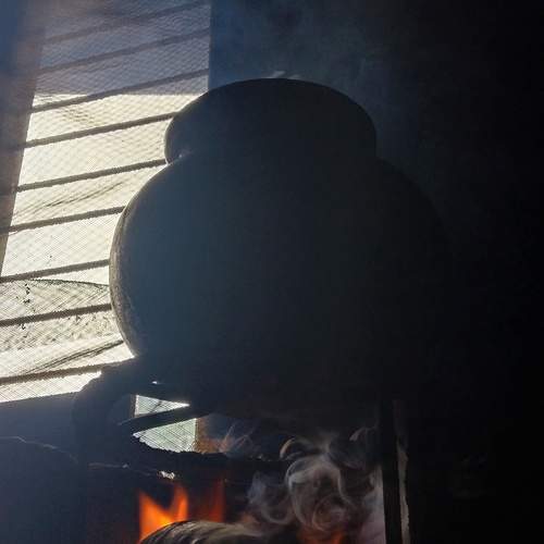 Photo #13550621