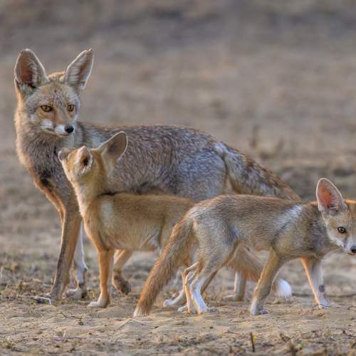 Photo #13550871