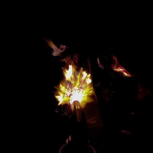 Photo #13550951