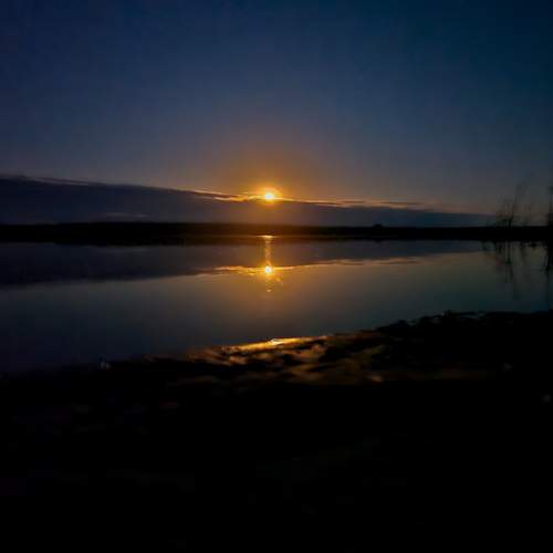 Photo #13550961