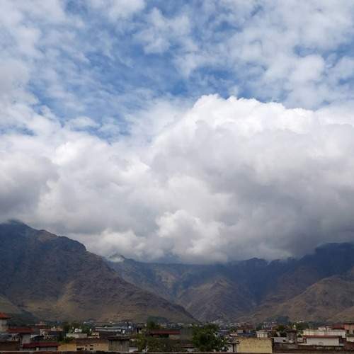 Photo #13550965