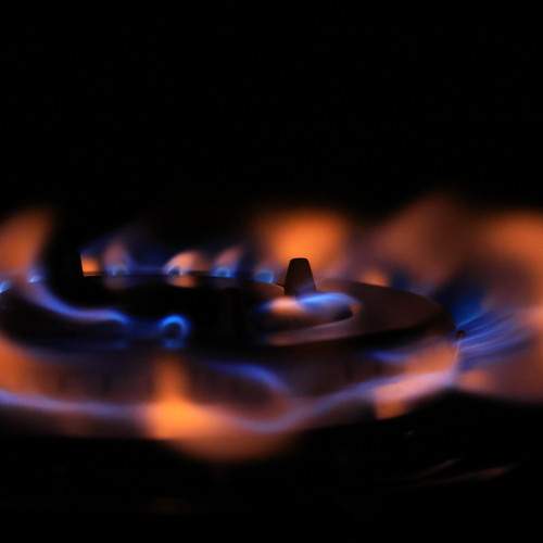 Photo #13551020