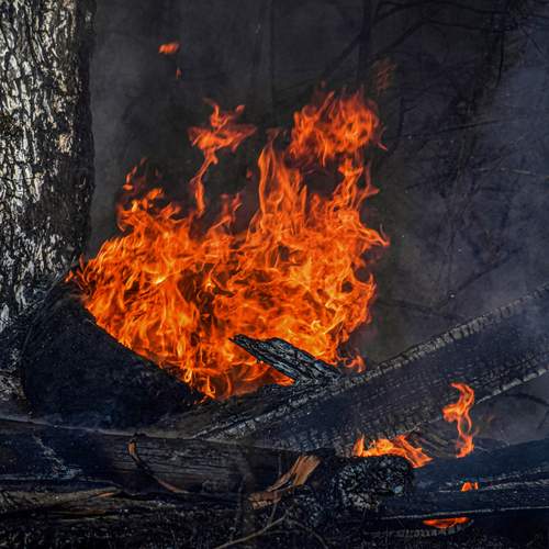 Photo #13551027