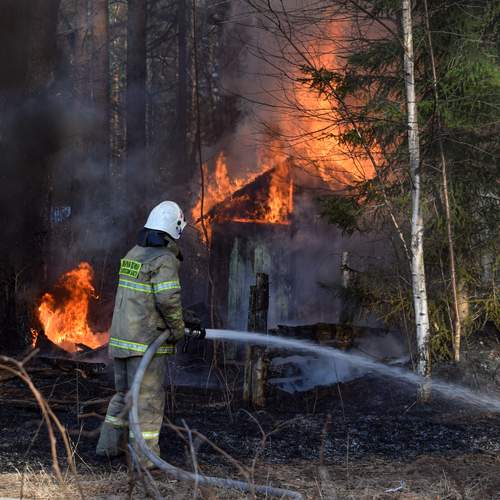 Photo #13551029