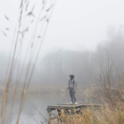 Photo #13551035