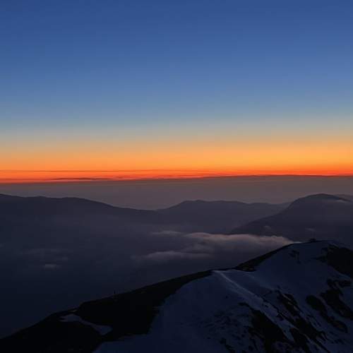 Photo #13551078