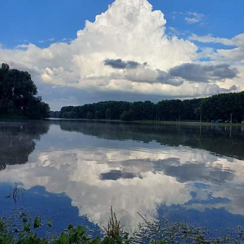 Photo #13551365