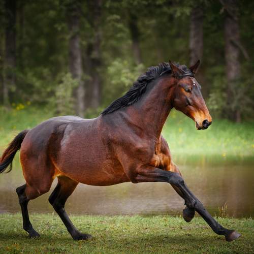 Photo #13551572