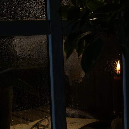 Photo #13551682
