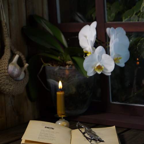 Photo #13551696