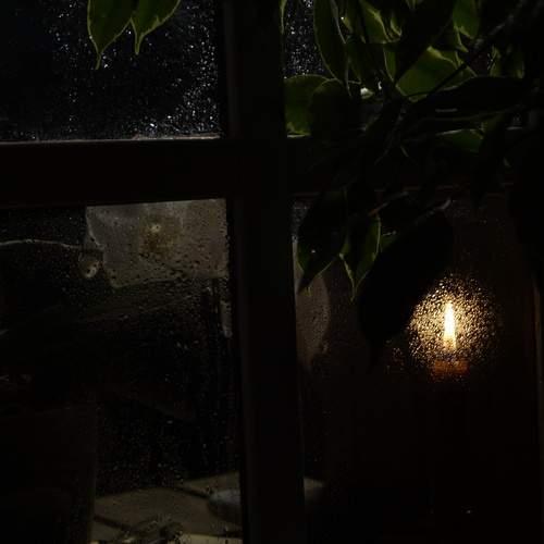 Photo #13551700