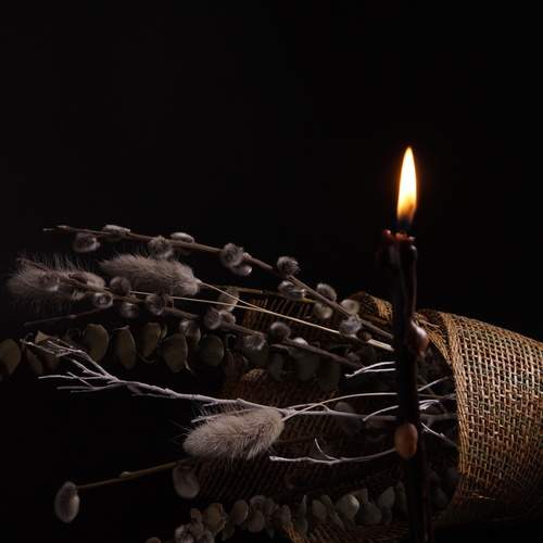 Photo #13551711