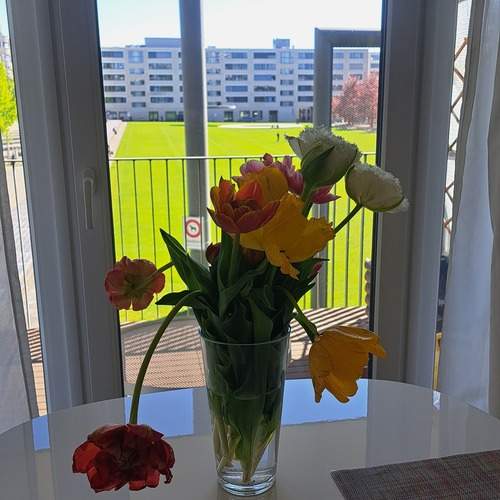 Photo #13551750