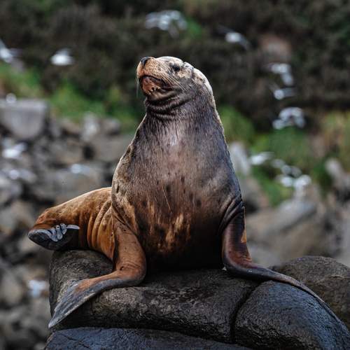 Photo #13551994